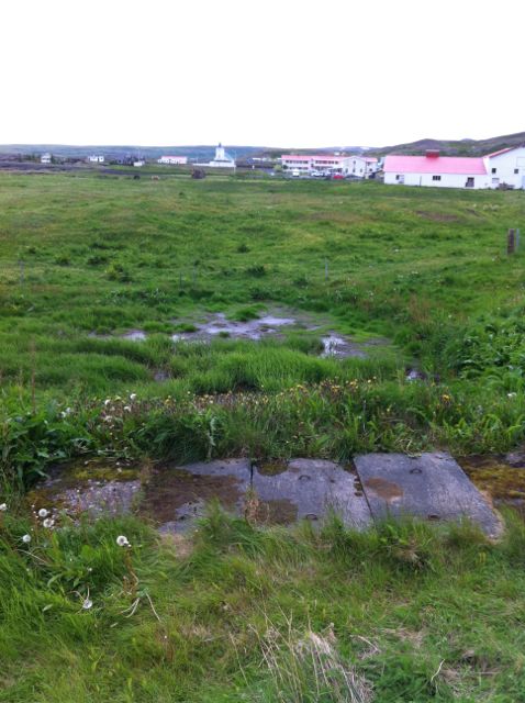 Hvað skal hreinsa, N eða P?